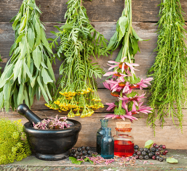 How Herbal Ingredients Are Used Across Multiple Industries