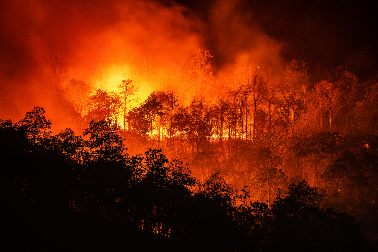 Wildfire events Fun-Filled Party Experiences