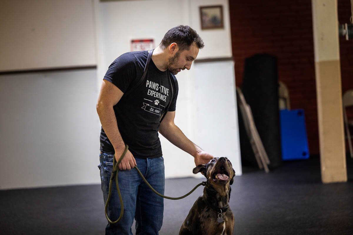 Barking Control Dog Training Arizona: Expert Tips to Quiet the Chaos